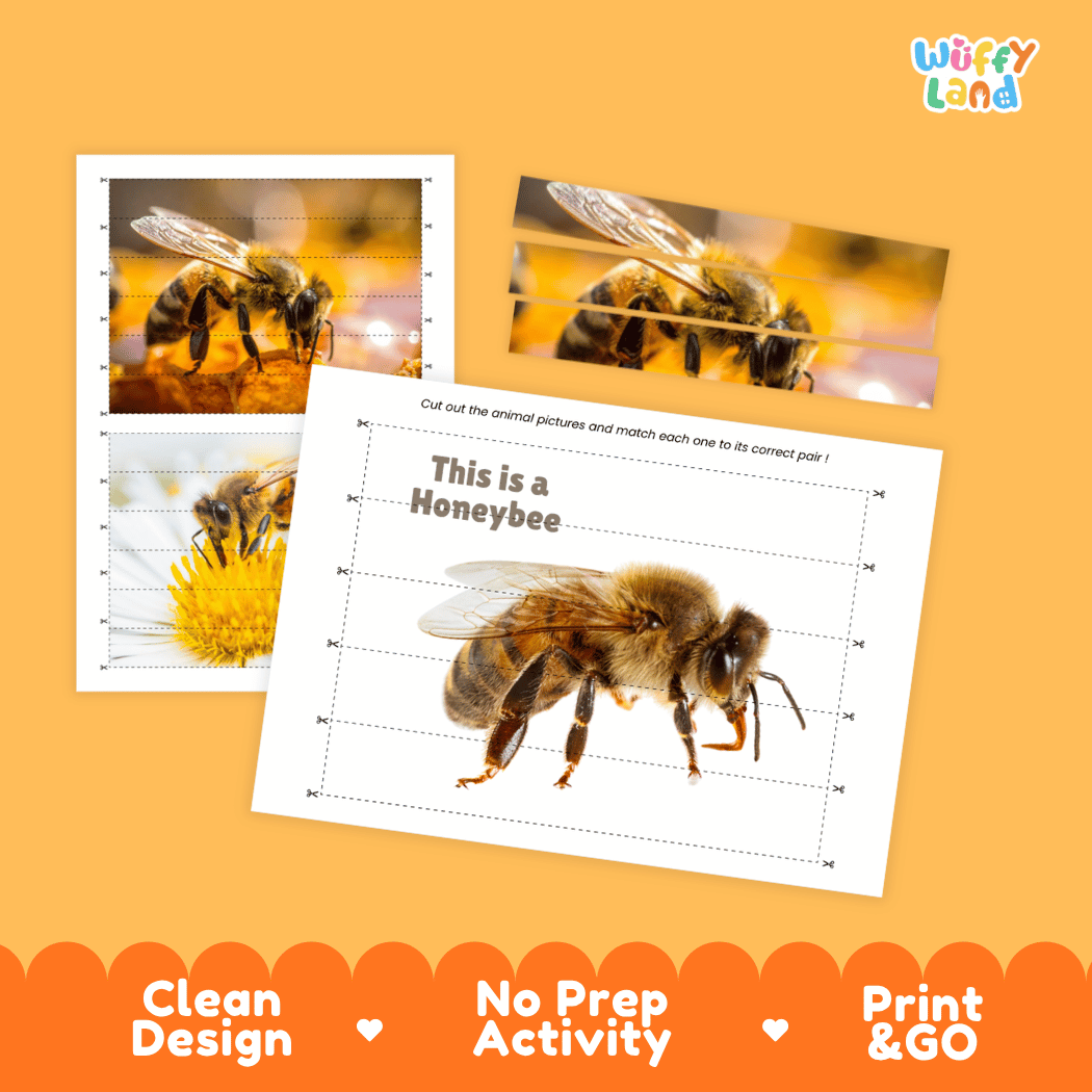 Honeybee Cut and Match Activity Printables Worksheets
