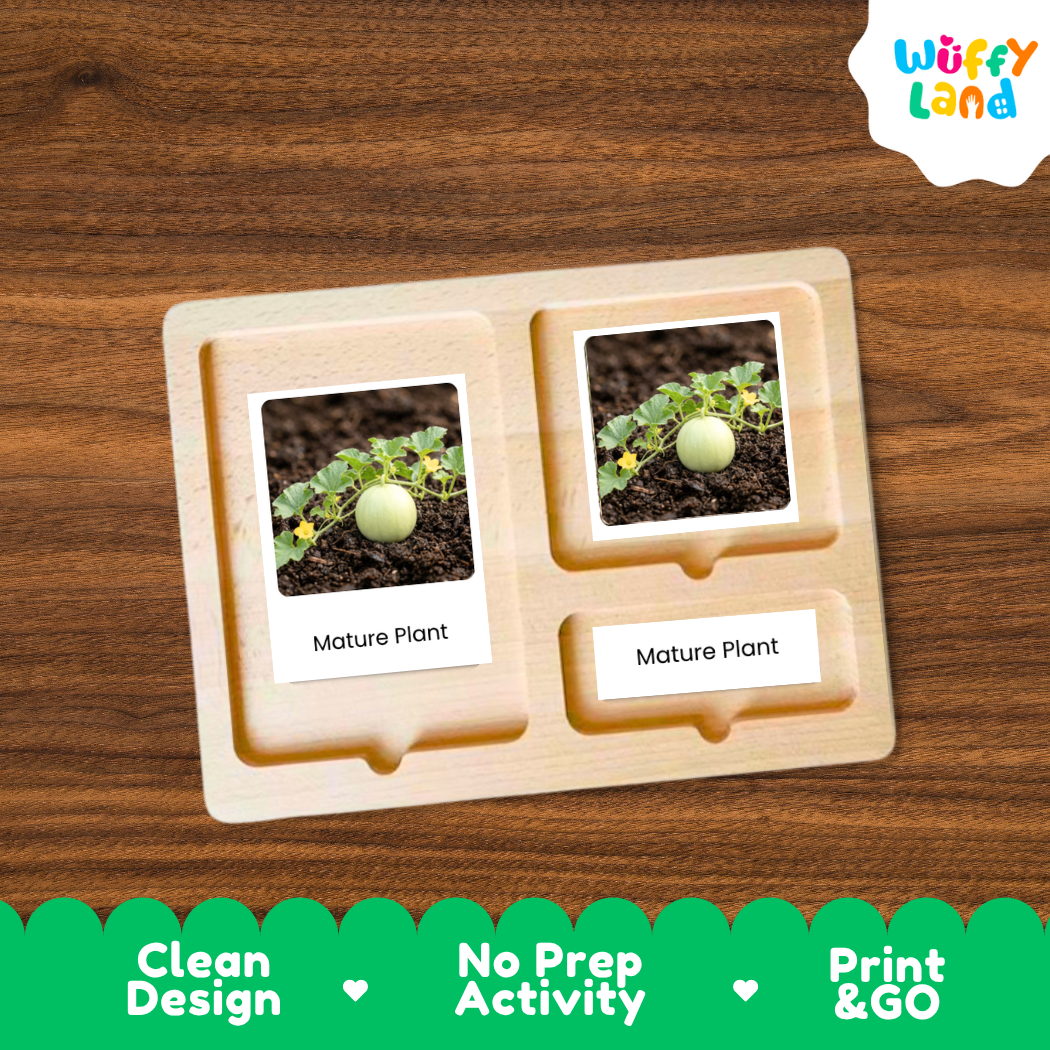 A wooden Montessori-style activity board with two labeled slots reading 'Mature Plant,' each showing a small photo of a plant in soil. The board is placed on a brown wood surface, with a white and green 'Wuffy Land' logo in the top right and a green banner at the bottom with marketing text.