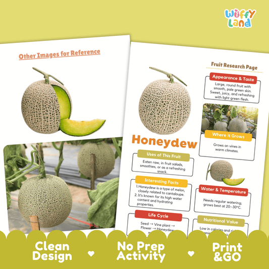 Honeydew Melon Fruit Research Project Science Worksheet Fact Sheet Activity
