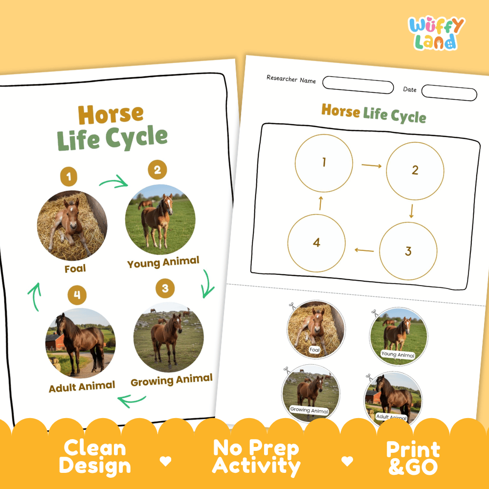Horse Lifecycle Poster and Cut and Paste Activity Worksheets | Farm Animal Science Printables