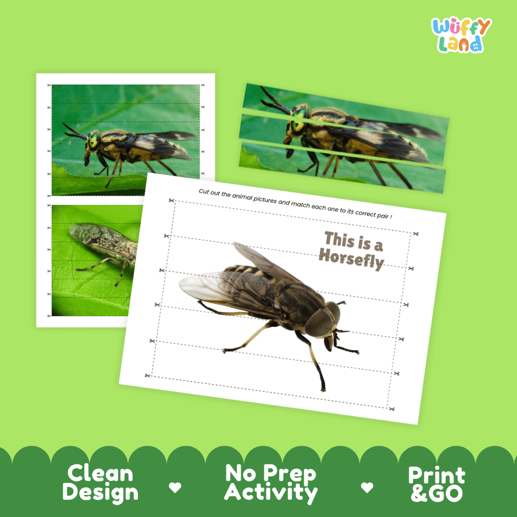 Horsefly Cut and Match Activity Printables Worksheets