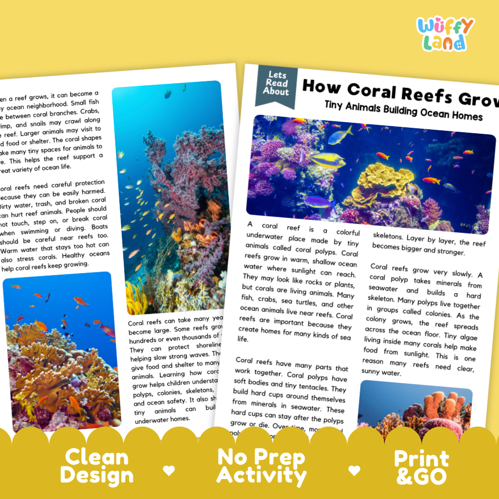 Teacher answer key page showing complete question solutions for how coral reefs grow reading comprehension practice