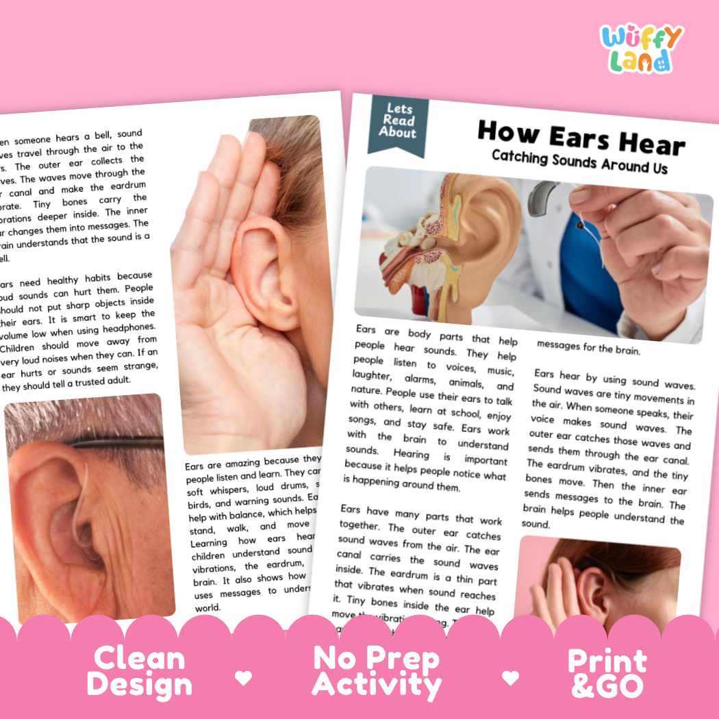 Teacher answer key page showing complete question solutions for how ears hear reading comprehension practice