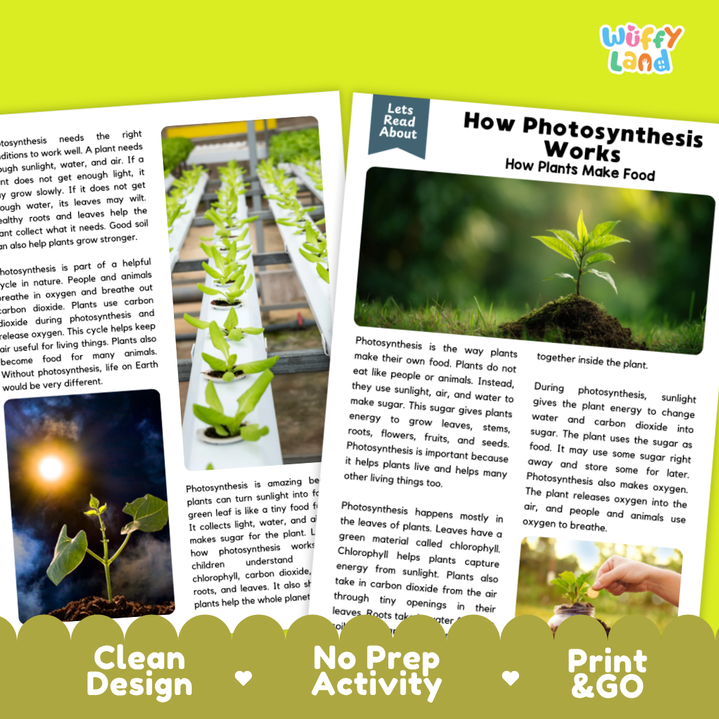 Teacher answer key page showing complete question solutions for How Photosynthesis Works life science reading comprehension practice