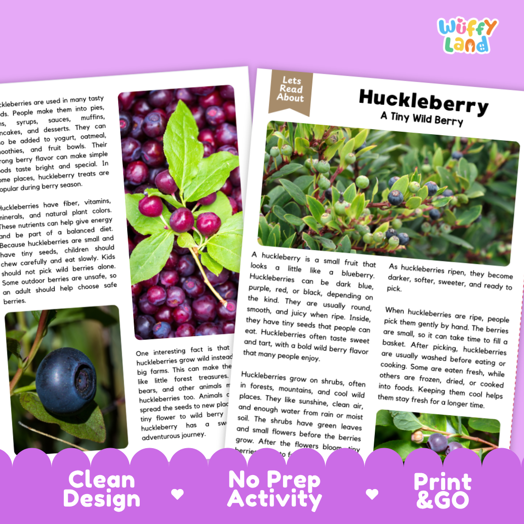 Teacher answer key page showing complete question solutions for huckleberry reading comprehension practice