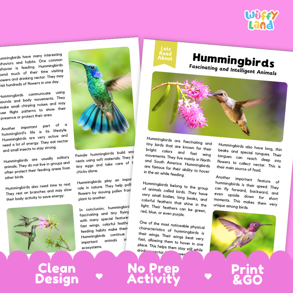 Two educational activity cards about hummingbirds from the 'Wiffly Land' brand, displayed on a pink background with promotional text. The cards feature colorful illustrations of hummingbirds, flowers, and leaves, with one card showing a green leaf and the other showing a pink flower.