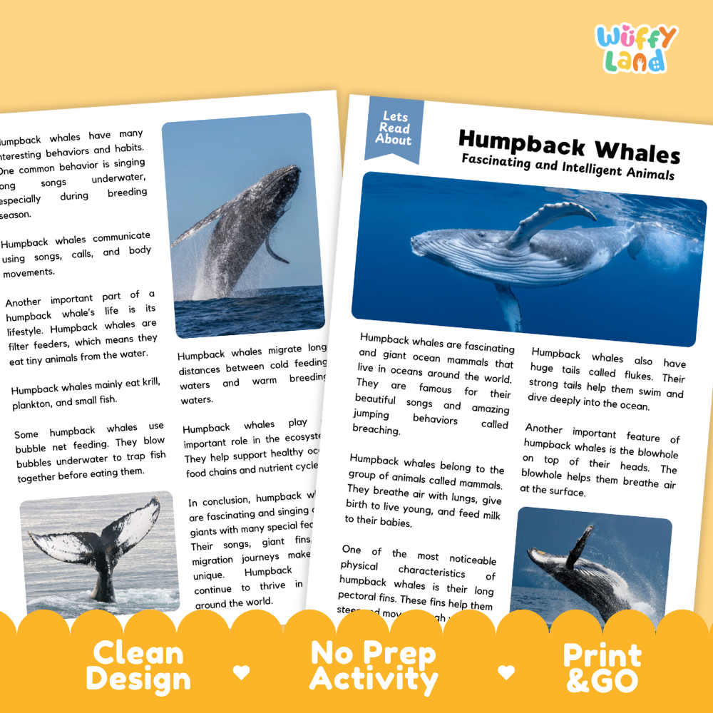 Humpback Whale Reading Passage and Comprehension Questions with Answer Key Worksheets