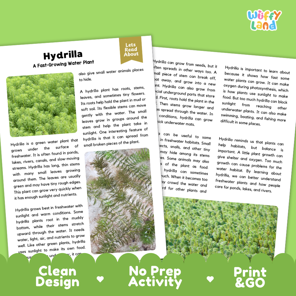 Hydrilla Plant Reading Passages Worksheets and Comprehension Activity