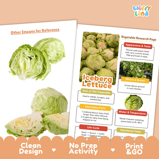 Iceberg Lettuce Research Activity Worksheet Science Vegetable Healthy Eating