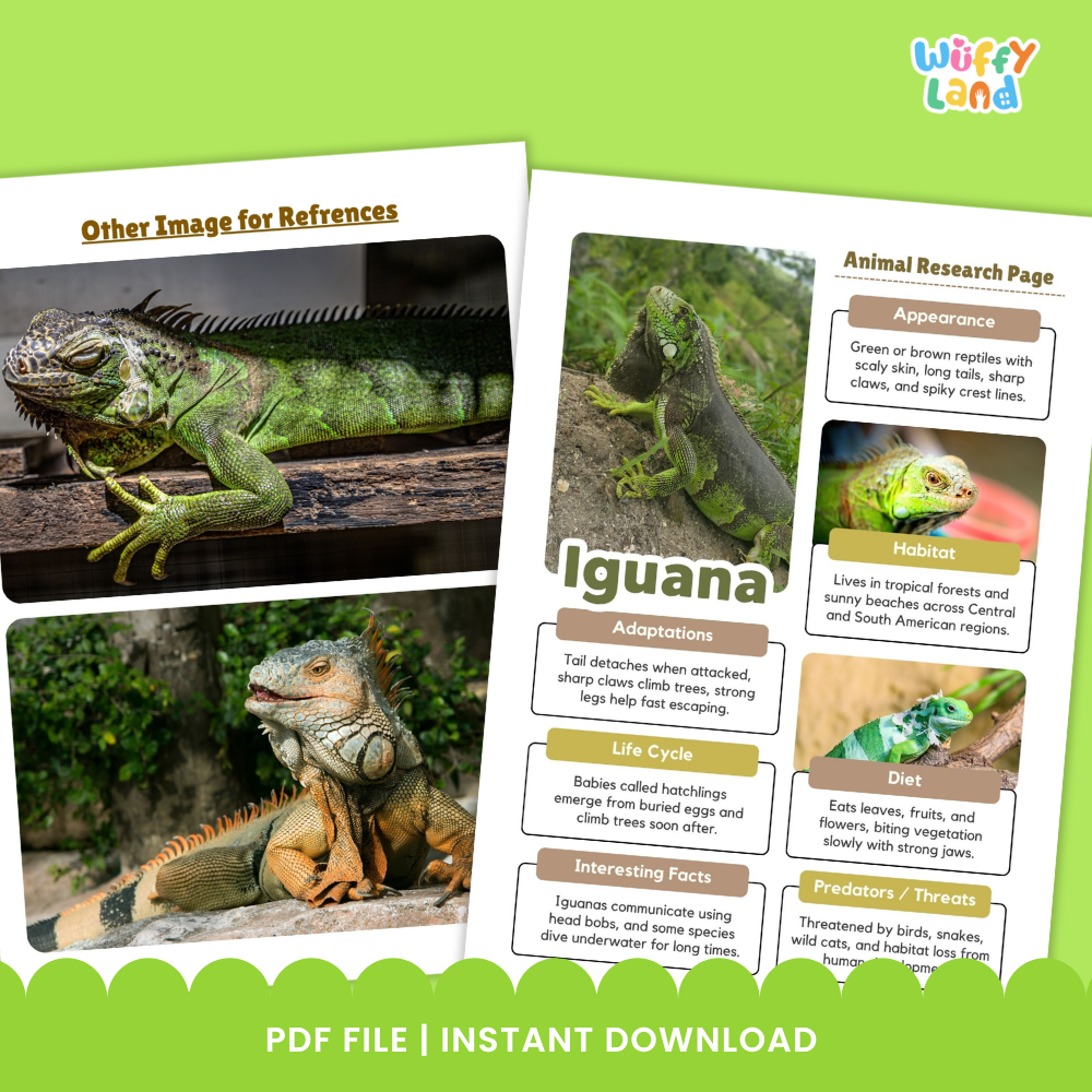 Iguana Animal Research Page Printable Worksheets for Early Elementary