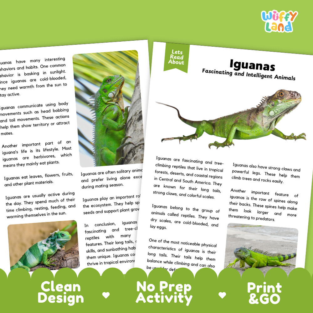 Two educational activity sheets from 'Wuffify Land' about iguanas, displayed on a white background with a green and white 'Print & Go' banner at the bottom. The sheets feature text, diagrams, and a color illustration of colorful tropical iguanas.