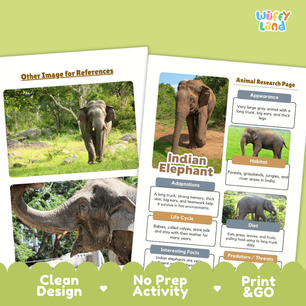 Indian Elephant Animal Research Page Worksheets and Fact Sheet Activity