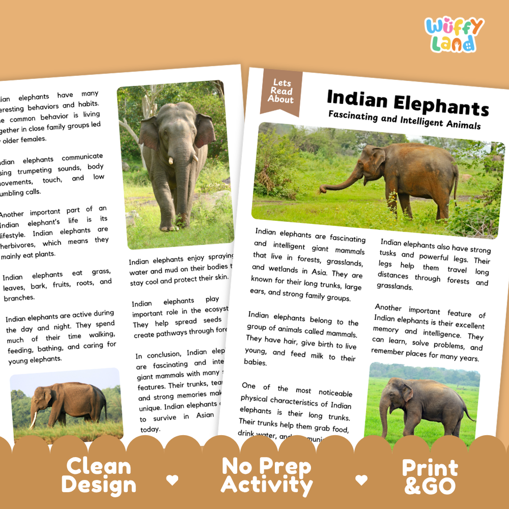 Two educational booklets about Indian Elephants from the brand Wiffly Land, featuring text, illustrations, and a cartoon elephant. The booklets are displayed on a white background with a decorative brown banner at the bottom.