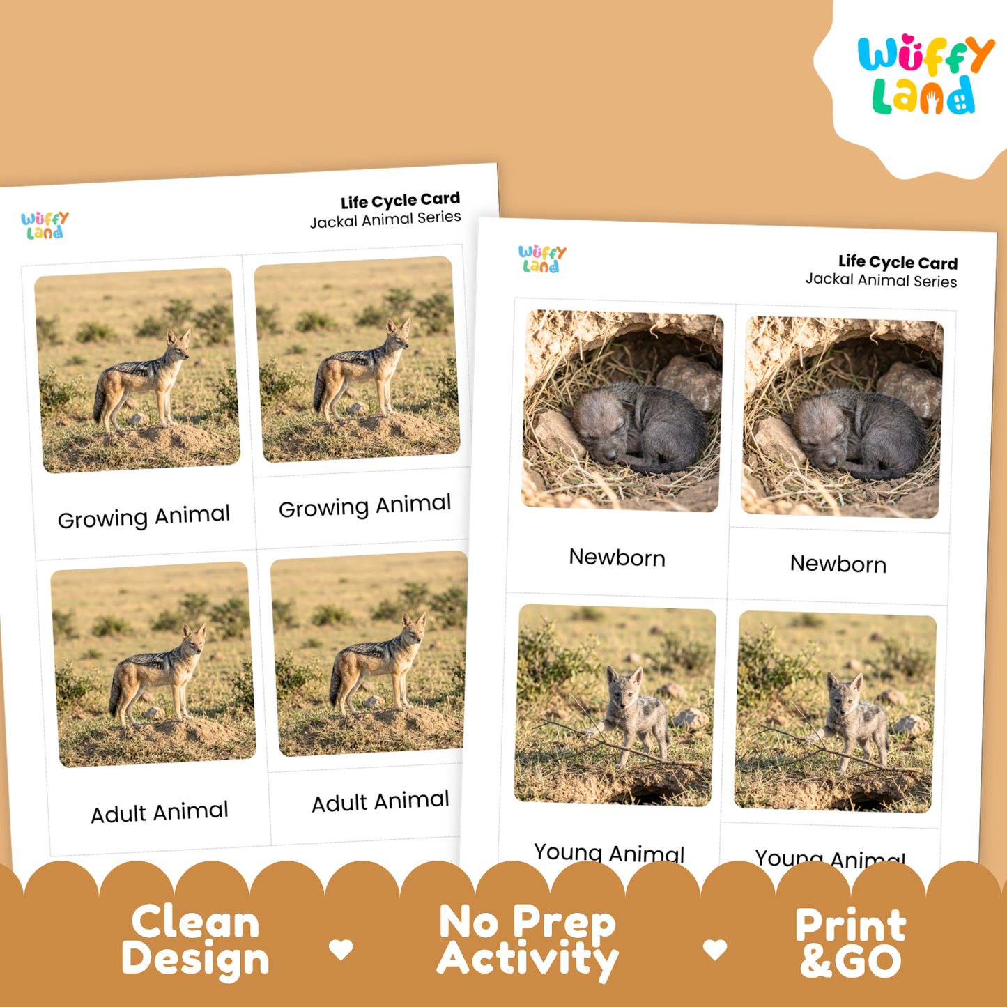 Two printable activity cards for a wolf life cycle series on a tan background. The cards show labeled photos of a wolf in different stages: Growing Animal, Newborn, Adult Animal, and Young Animal.