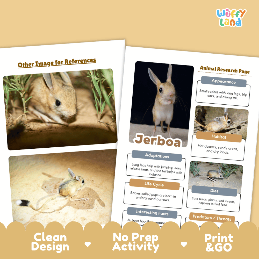 Jerboa Animal Research Page Worksheets and Fact Sheet Activity