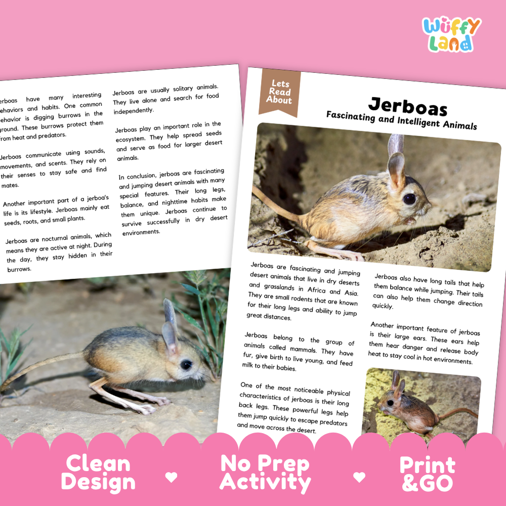 Jerboas Reading Passage and Comprehension Questions Worksheets with Answer Key