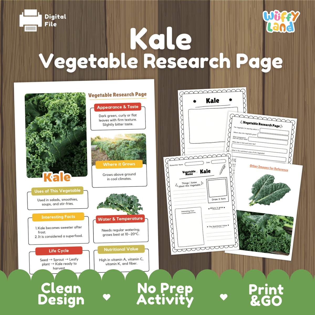 Student vegetable research page writing worksheets with real fresh kale bunch photos, lined note-taking prompts, and drawing frames