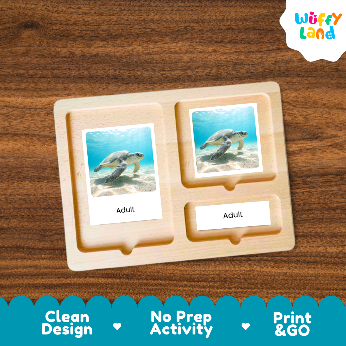 Kemp's Ridley Sea Turtle Life Cycle Flashcards 3 Part Cards Montessori Science Activity
