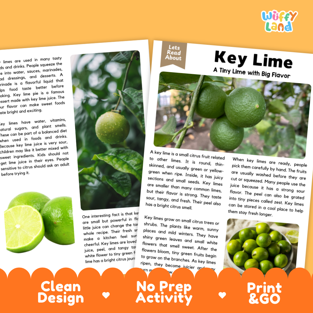 Teacher answer key page showing complete question solutions for key lime reading comprehension practice
