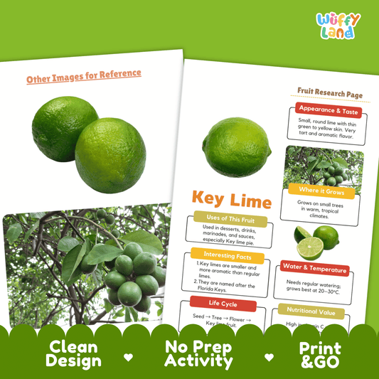 Key Lime Fruit Research Project Science Worksheet Fact Sheet Activity