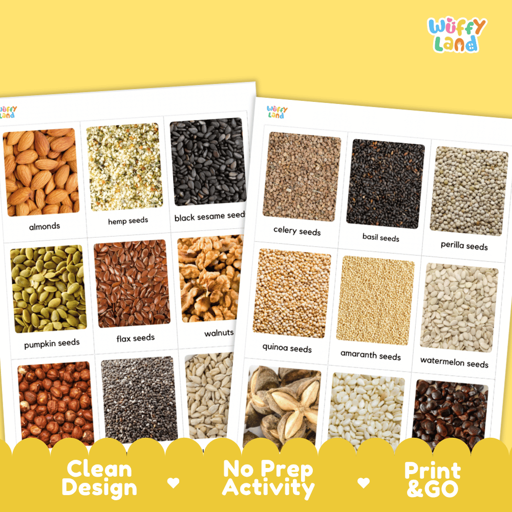 Two printed activity sheets showing labeled seed and nut photos, placed on a yellow background with decorative yellow banner elements. The sheets include labels such as almonds, hemp seeds, black sesame seeds, celery seeds, basil seeds, perilla seeds, pumpkin seeds, flax seeds, walnuts, quinoa seeds, amaranth seeds, and watermelon seeds.