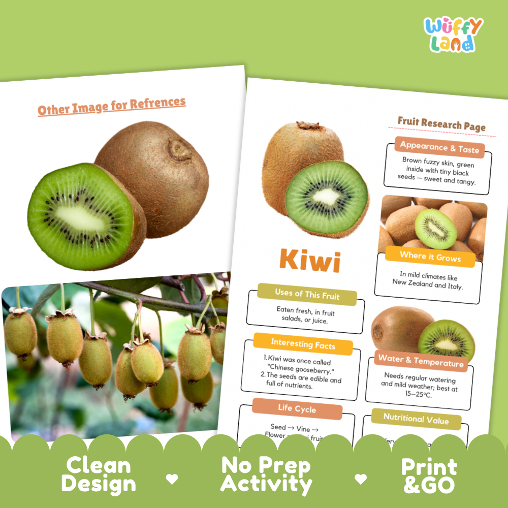 Kiwi Fruit Research Page Worksheets and Fact Sheet