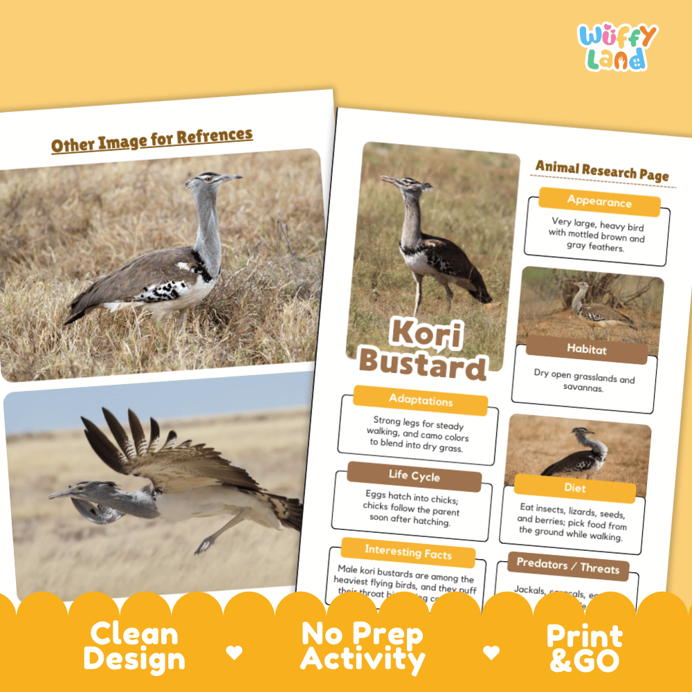 Two printed educational activity sheets about a kori bustard displayed on a warm yellow background. The left sheet shows reference images of the bird, and the right sheet contains labeled sections for appearance, habitat, adaptations, life cycle, diet, and interesting facts.
