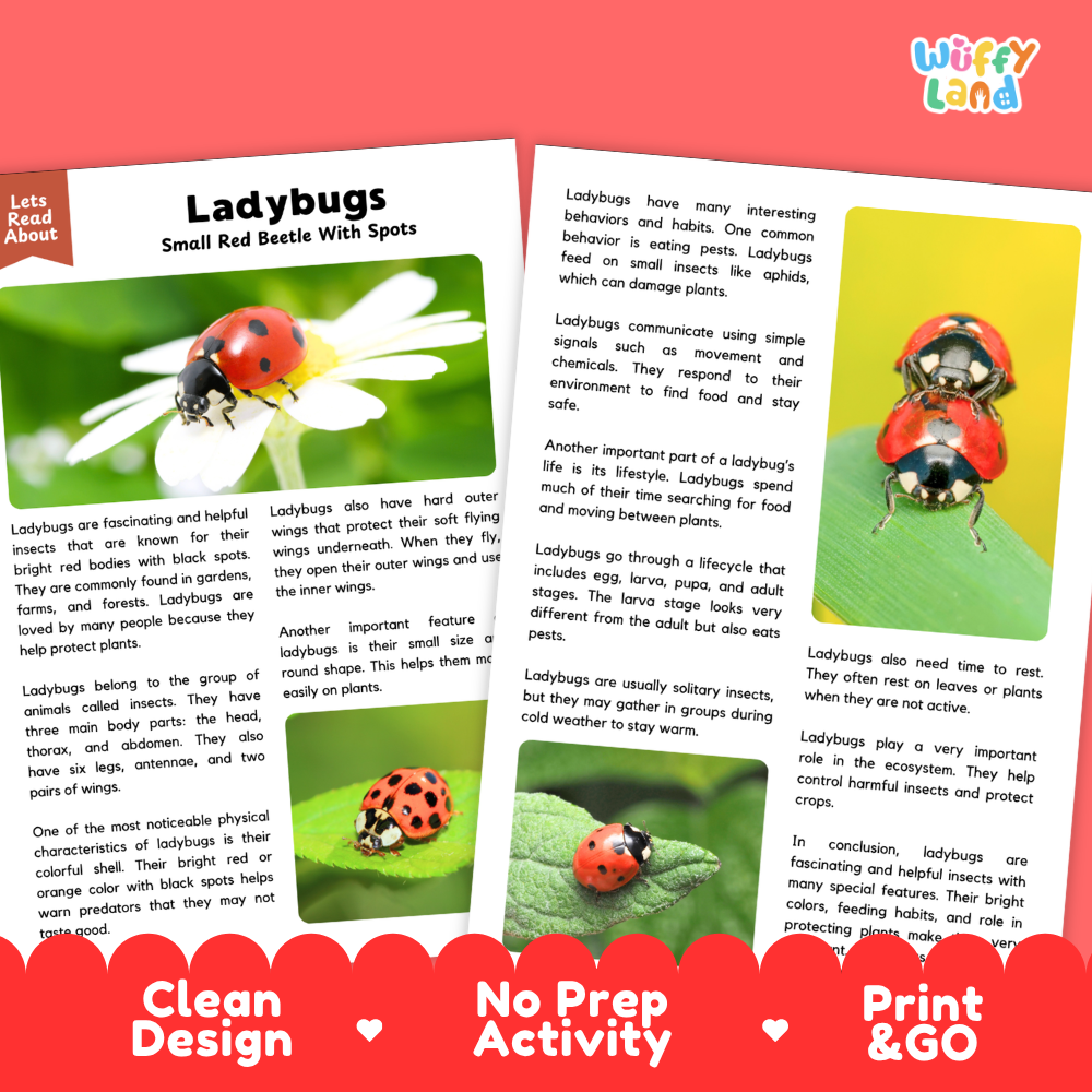 An educational poster about ladybugs, featuring a large close-up of a red and black ladybug on the right, a smaller ladybug on a plant on the left, and text explaining ladybug facts. The top has a white background with a pink 'Wuff!fy land' logo, and the bottom has a red banner with the words 'Clean', 'No Prep Activity', and 'Print & GO'.