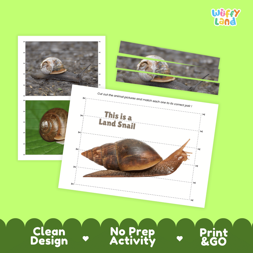 Land Snail Cut and Match Activity Printables Worksheets