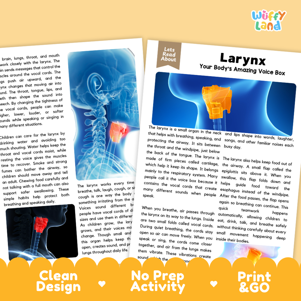 Teacher answer key page showing complete question solutions for Larynx human body reading comprehension practice