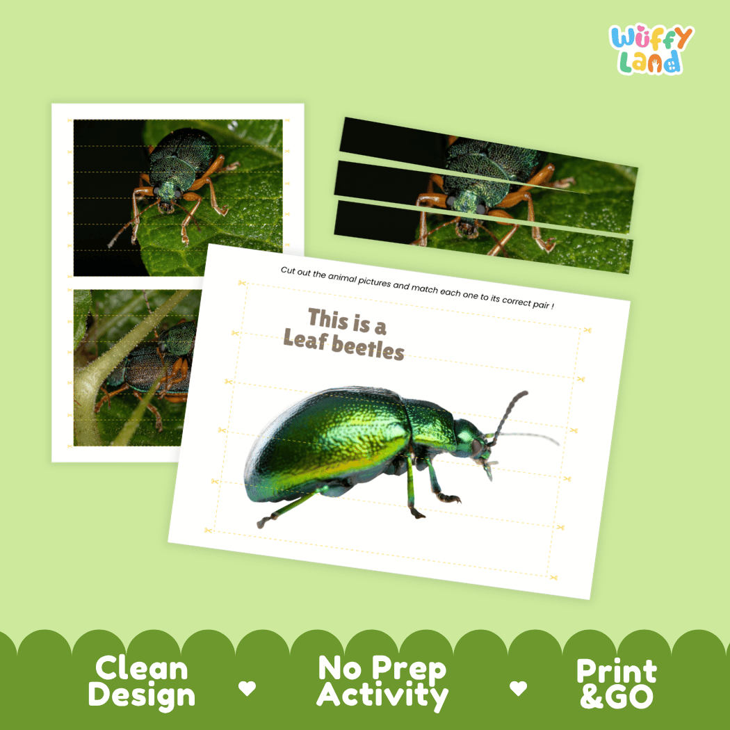 Leaf Beetles Cut and Match Activity Printables Worksheets