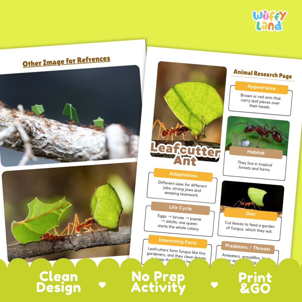 Two printed activity sheet pages for a leaf cutter ant science experiment, displayed on a bright lime green background with promotional text reading 'Other Image for References,' 'Animal Research Page,' and 'Clean Design / No Prep Activity / Print & Go.' The pages contain labeled sections about appearance, habitat, diet, life cycle, and interesting facts, with inset photos of ants and green leaves.