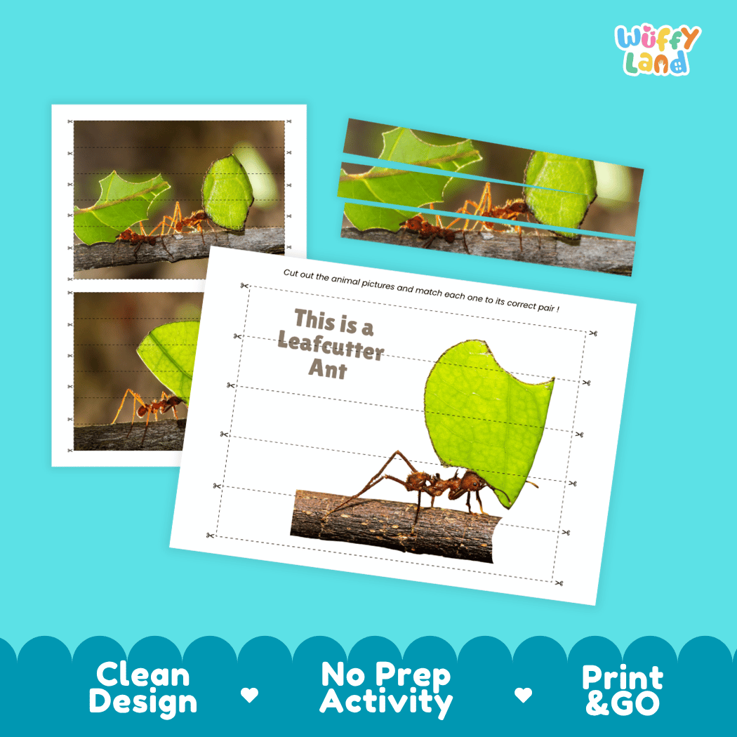Leafcutter Ant Cut and Match Activity Printables Worksheets