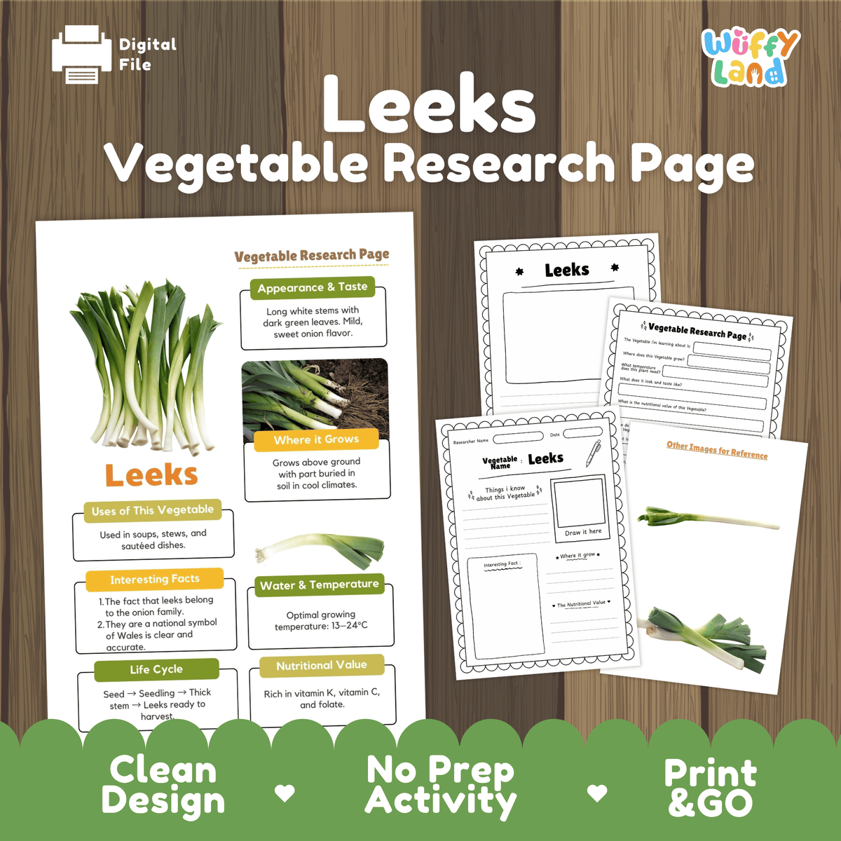 Student vegetable research page writing worksheets with real whole leeks photos, lined note-taking prompts, and drawing frames