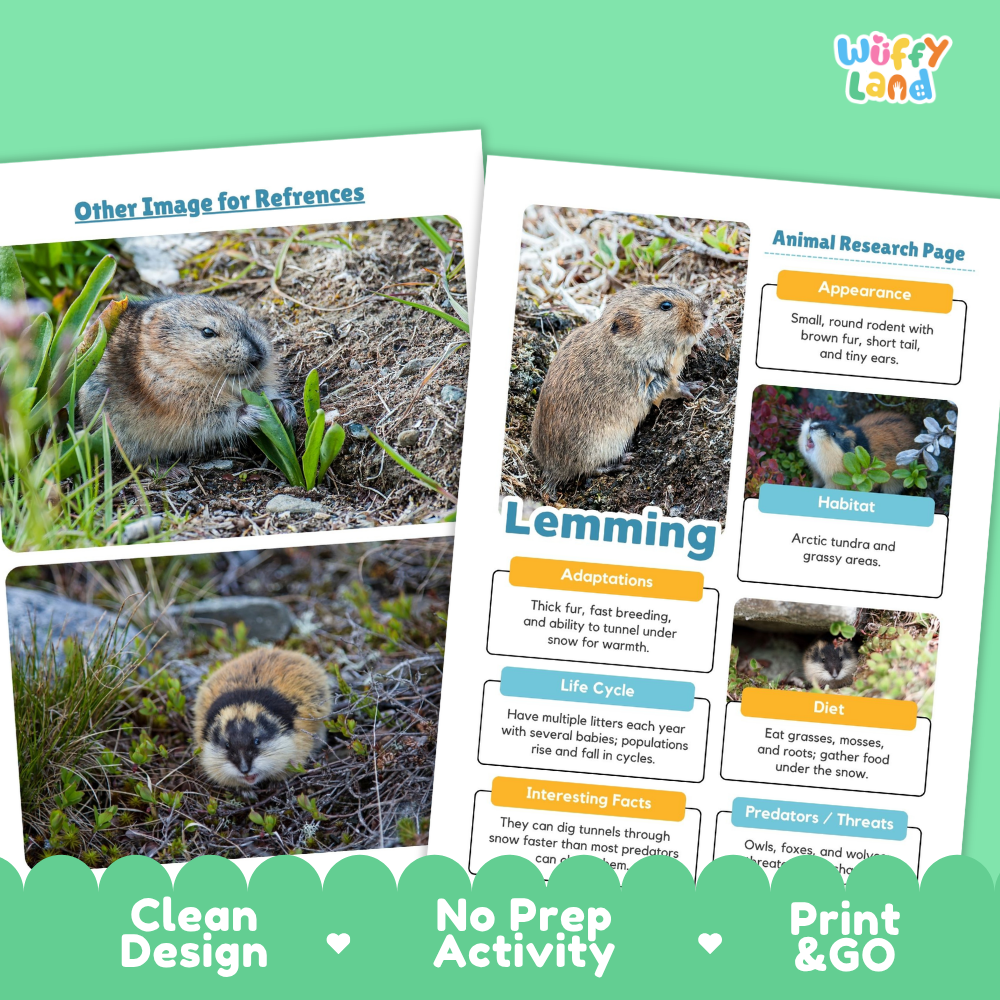 Two printed activity worksheet pages about a prairie mouse/lemming displayed on a green background with promotional text reading 'Other Image for References,' 'Clean Design,' 'No Prep Activity,' and 'Print & GO.' The pages contain animal photos and text sections on appearance, habitat, adaptations, life cycle, diet, and predators.