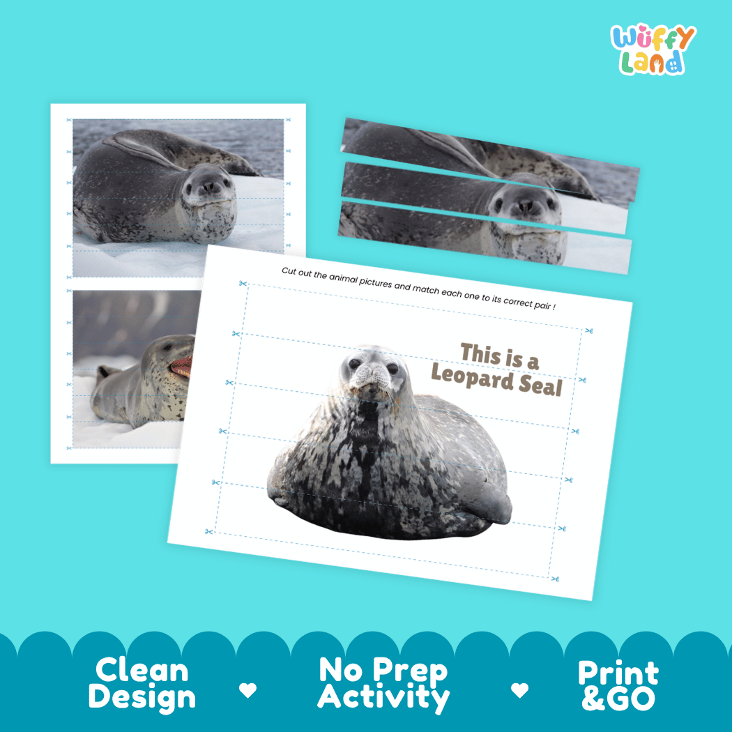 Leopard Seal Cut and Match Activity Printables Worksheets
