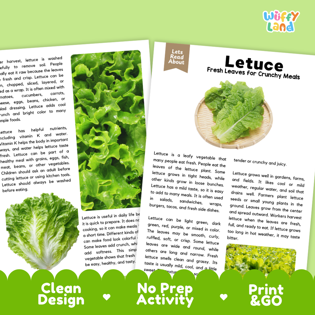 Teacher answer key page showing complete question solutions for lettuce reading comprehension practice