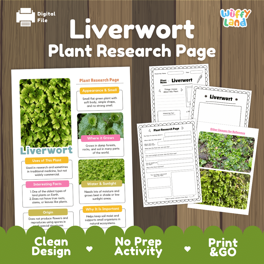 Student plant research page writing worksheets with real close up green liverwort thalli on damp soil, lined note-taking prompts, and drawing frames