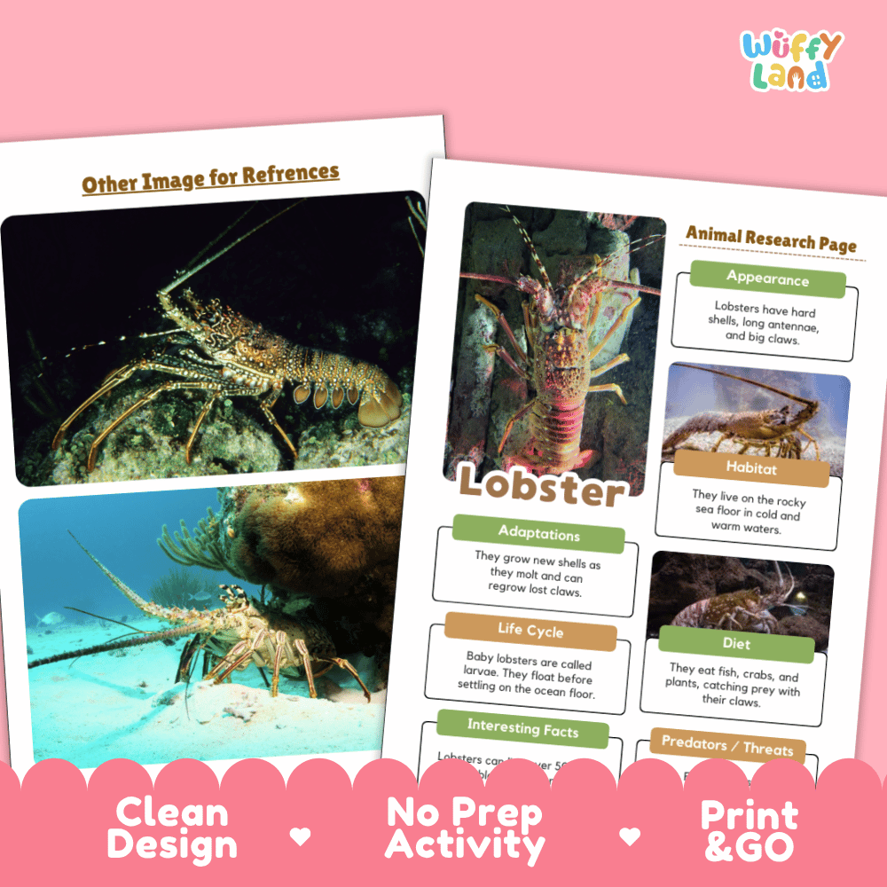 Two printed lobster-themed activity sheets from Wiffly Land on a pink background, with text such as 'Other Image for References,' 'Lobster,' 'Animal Research Page,' and feature badges like 'Clean Design,' 'No Prep Activity,' and 'Print & GO.'.