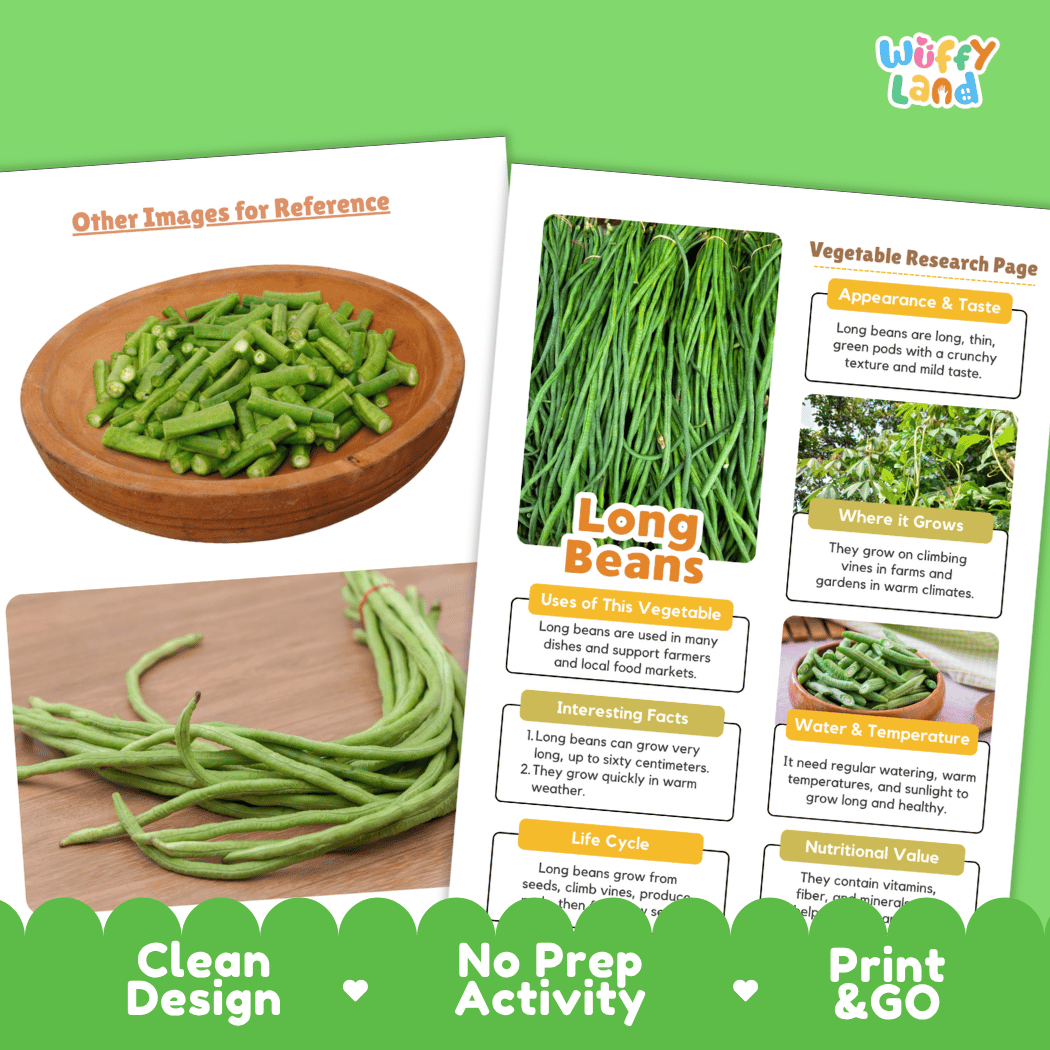 Long Beans Vegetable Research Page Worksheets and Fact Sheet