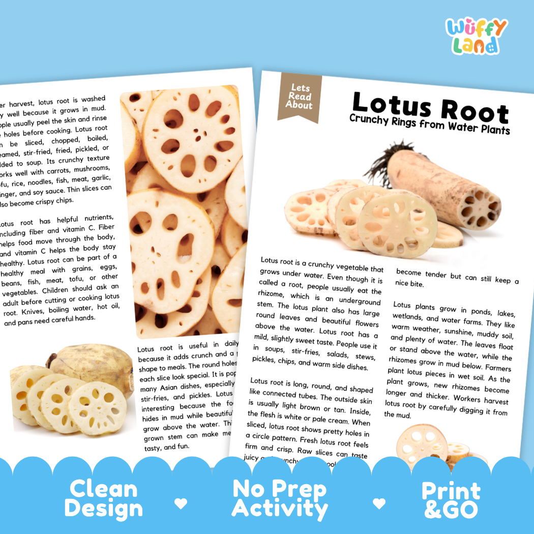 Teacher answer key page showing complete question solutions for lotus root reading comprehension practice