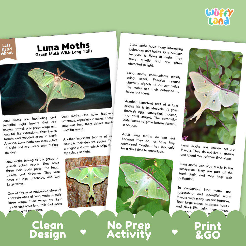 Luna Moths Reading Passage and Comprehension Questions Worksheets