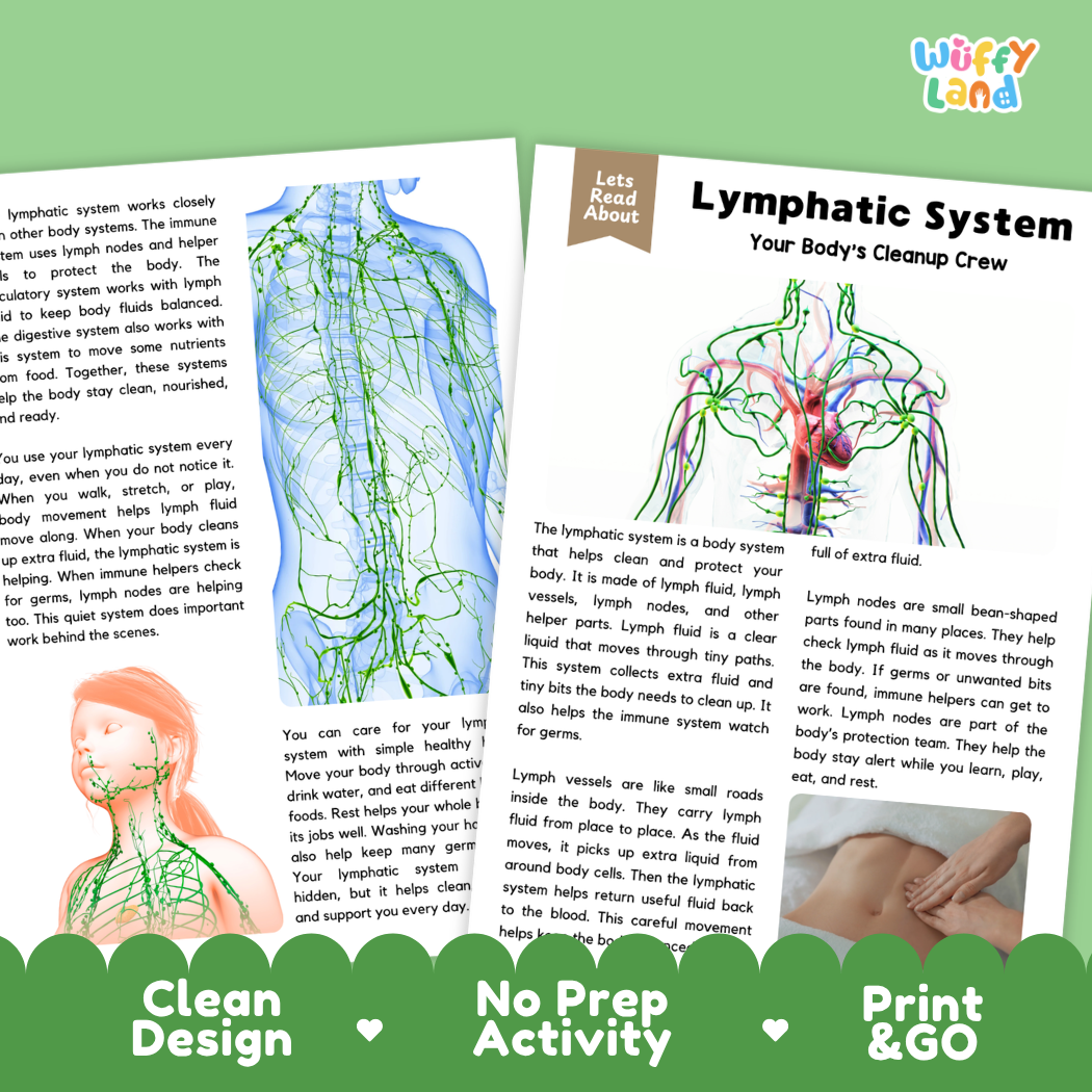 Teacher answer key page showing complete question solutions for Lymphatic System human body reading comprehension practice