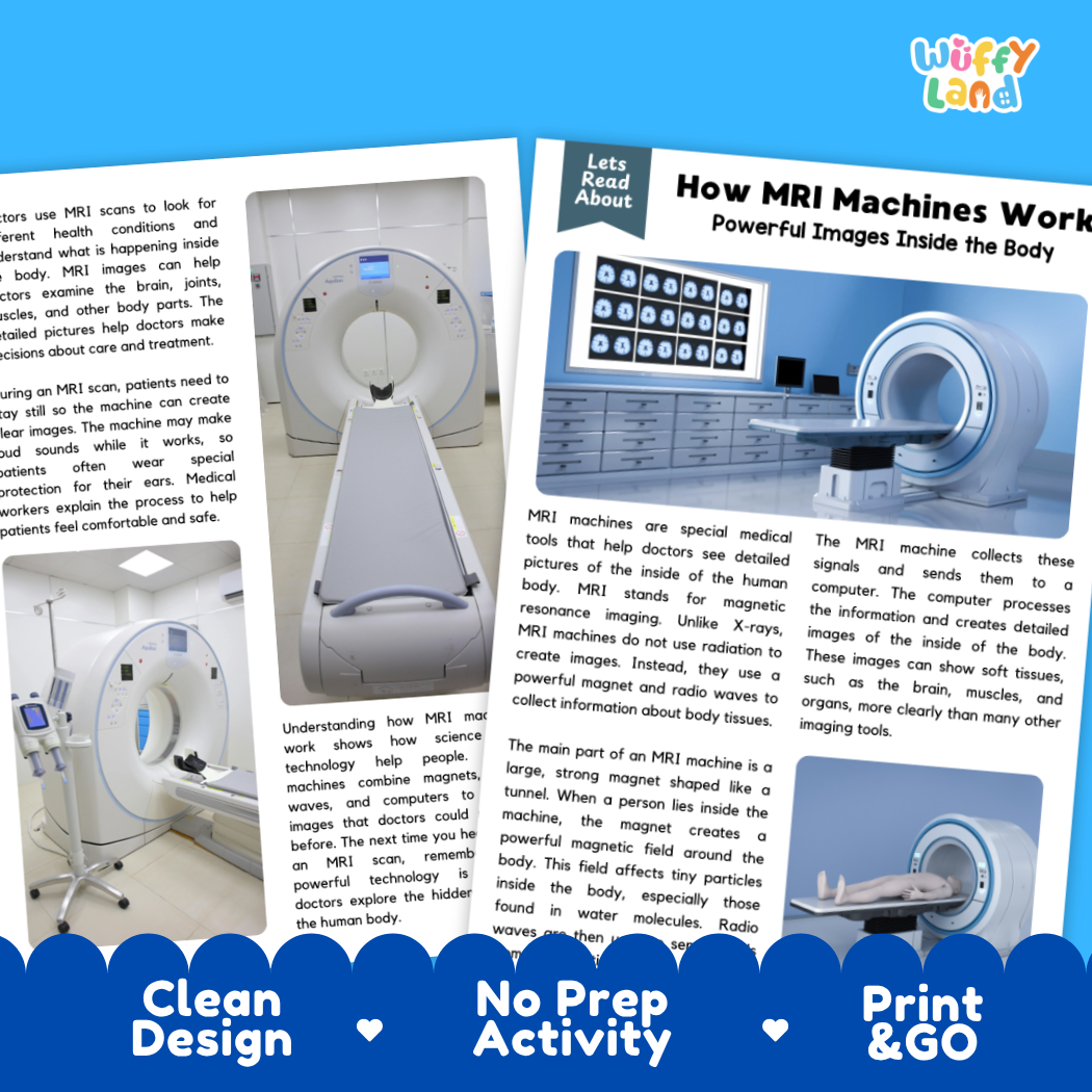 Complete teacher answer key worksheet providing detailed model responses for MRI comprehension questions