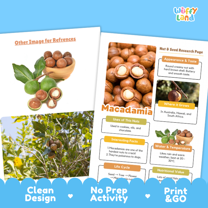 Macadamia Nut and Seed Research Page Worksheets Plant Science Activity