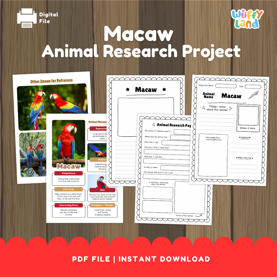 Educational printable pack titled “Macaw Animal Research Project” displayed on a wooden background. The set includes colorful photo reference pages of macaws and black-and-white research worksheets for students to fill in information such as habitat, diet, life cycle, adaptations, and interesting facts.