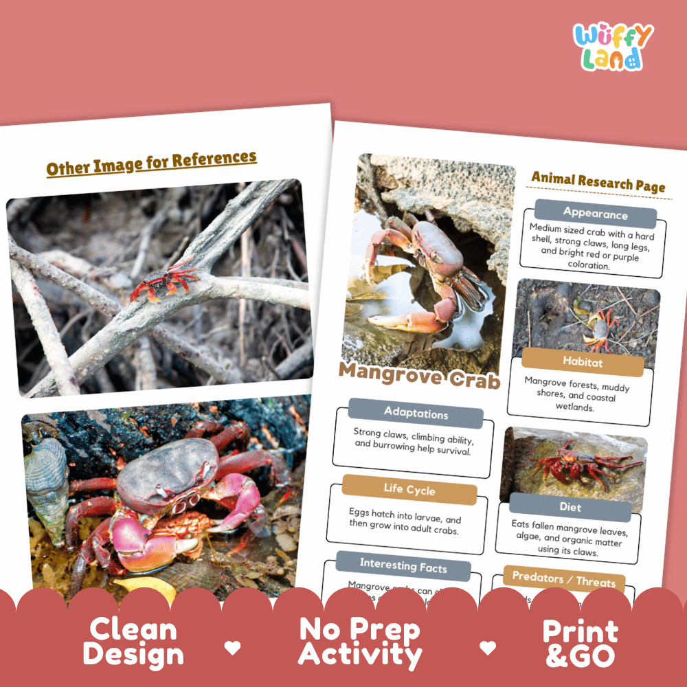 Mangrove Crab Animal Research Page Worksheets and Fact Sheet Activity