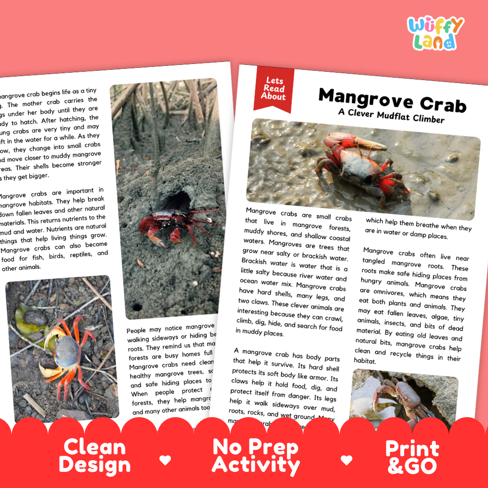 Mangrove Crab Reading Passage and Questions Worksheets with Answer Key