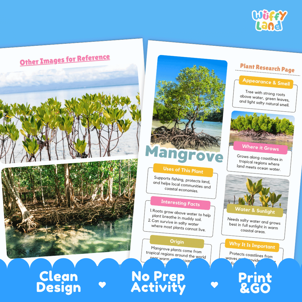 Mangrove Plant Research Page Worksheets and Fact Sheet