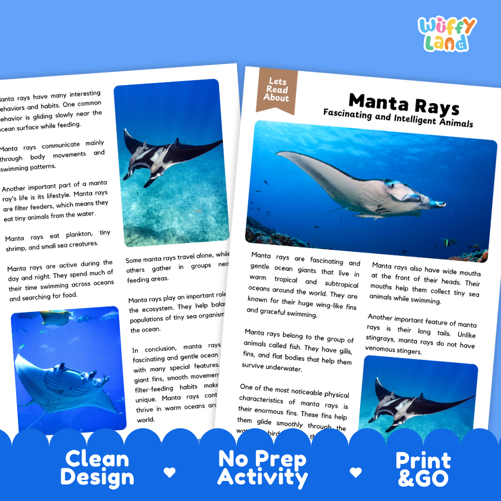 Two printed reading cards about Manta Rays with educational text and a small photo of a manta ray, shown on a blue background with the header 'Let's Read About' and 'Clean Design No Prep Activity Print & Go'.